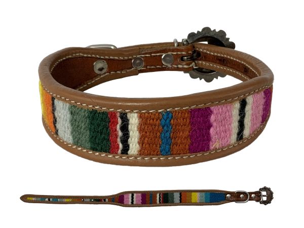 Ac dc clearance dog collar